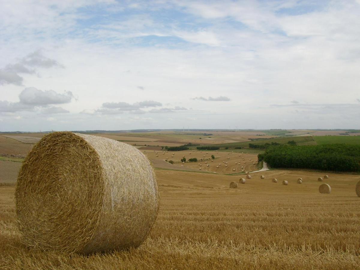 Gite Rural Le Bois Roger Widehem Ngoại thất bức ảnh